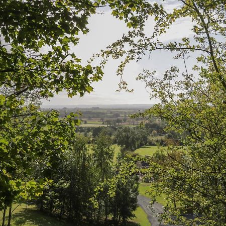 Ryedale Country Lodges - Willow Lodge York Eksteriør bilde